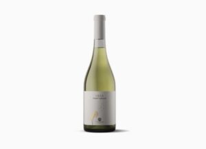 Degà Pinot Grigio IGP
